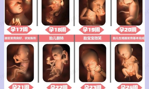 艾灸胸部有什么功效与作用-艾灸胸部有什么功效与作用,中国艾灸中枢的准确位置和功效网站